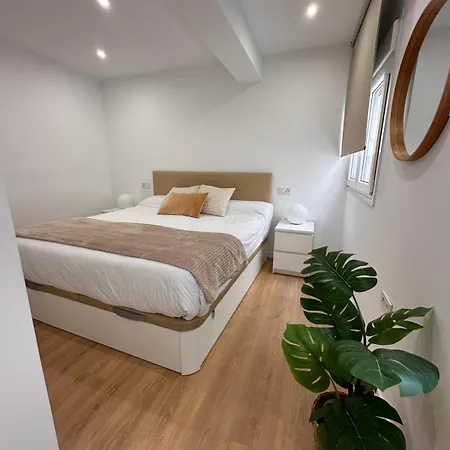 San Jorge Premium - *